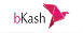 bkash logo